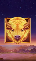 Buffalo's Sun 2