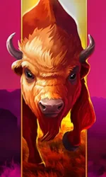 Big Wild Buffalo